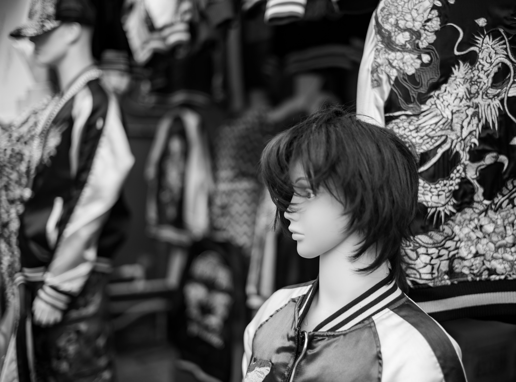 ヅラの美少年