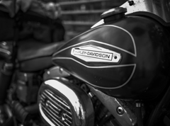 Harley