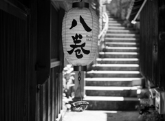 昼提灯