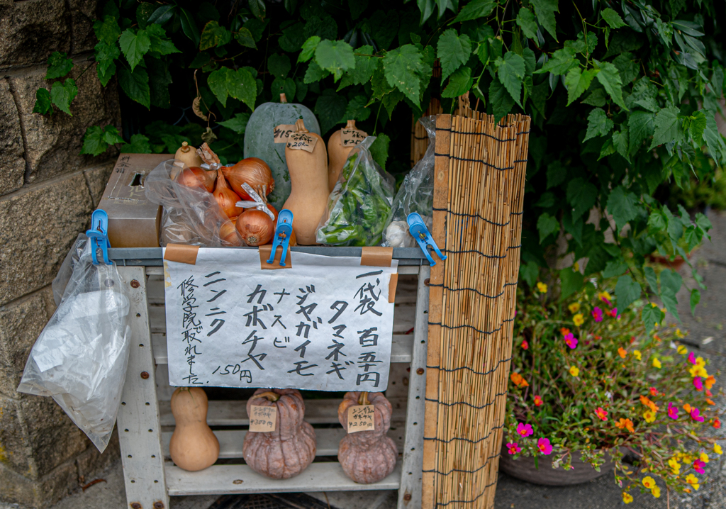 野菜を愛でてみる