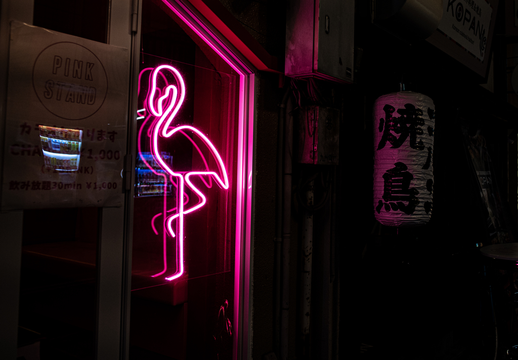 中洲フラミンゴ