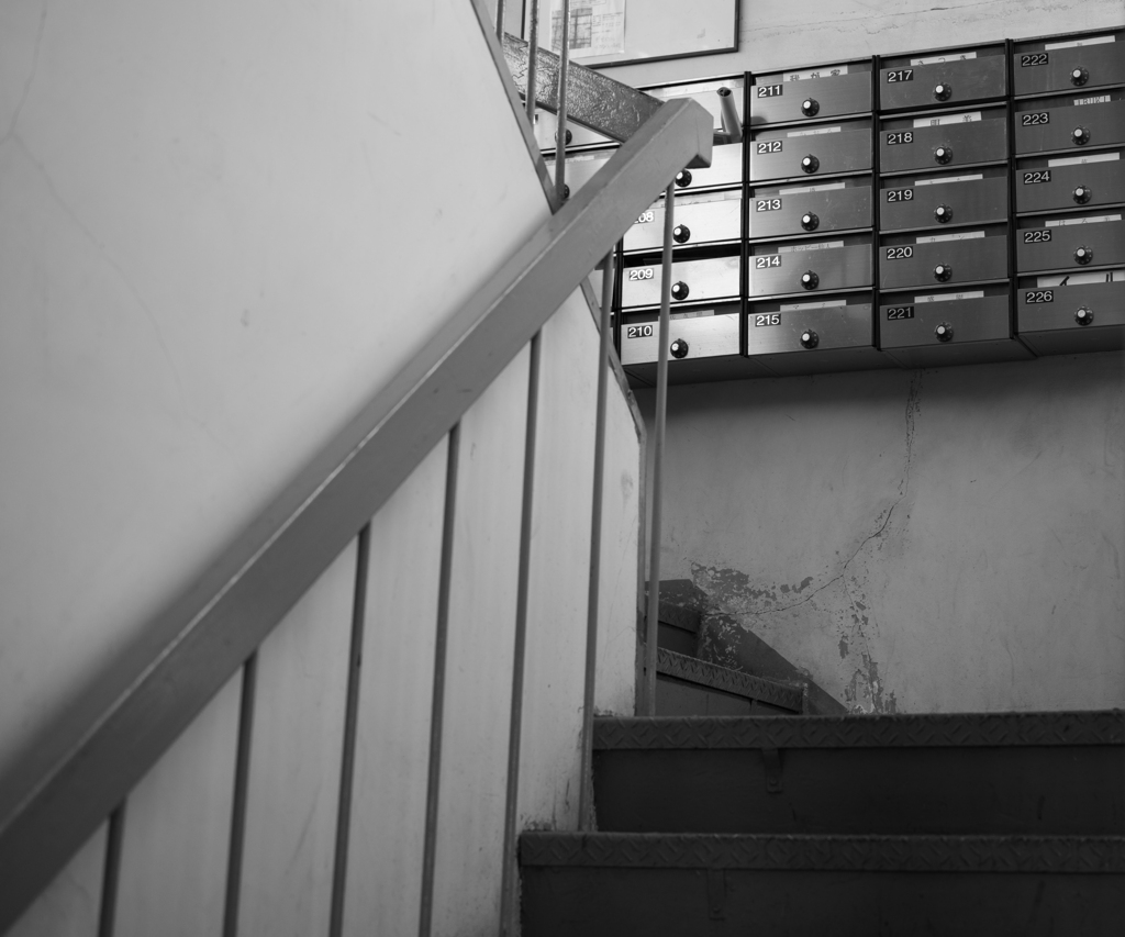 M11+APO（ノーマル）