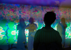 蜷川実花氏「瞬く光の庭」　東京都庭園美術館