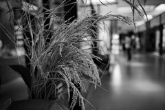 実るほど・・・