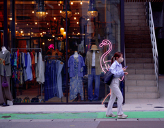 フラミンゴ背負って