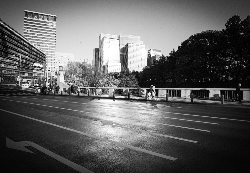 反社じゃないよ反射だよ