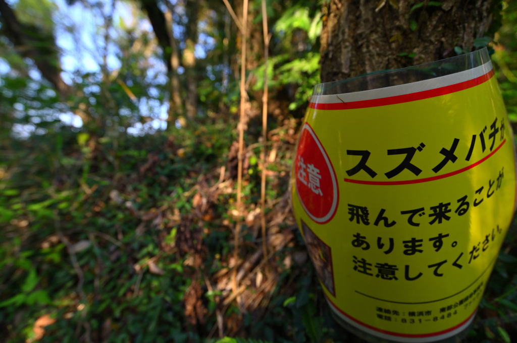 どっちも怖いのだが