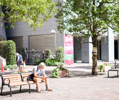 炎天下の勝負師