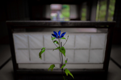 計算づく　その２