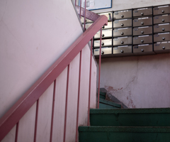 M11+APO（Adobeカラー）