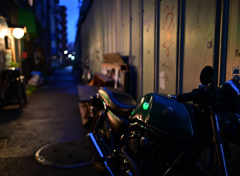 雨上がりの夜空に