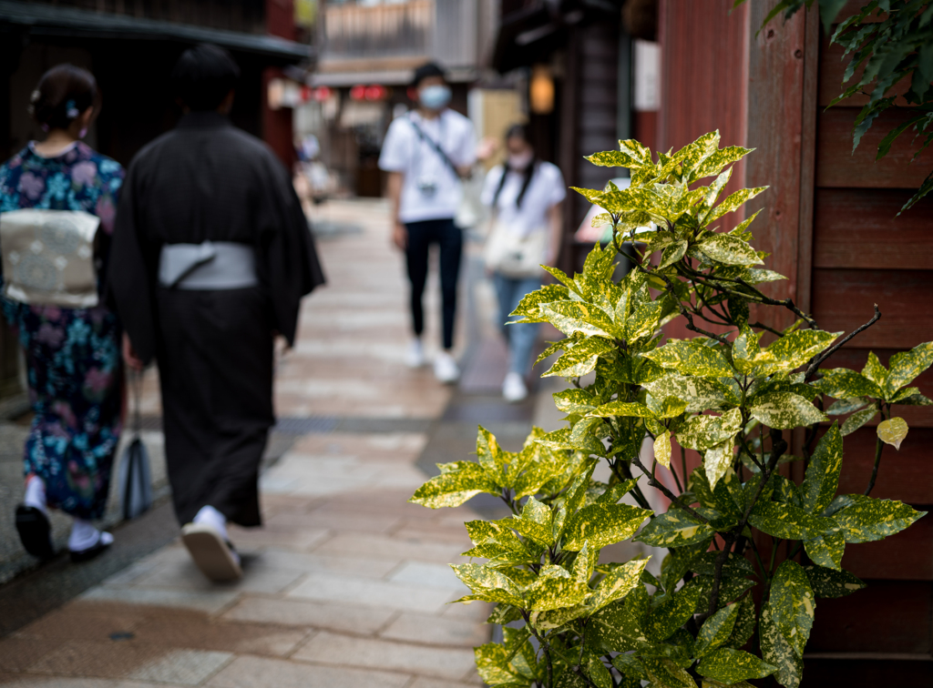 主役になりたい