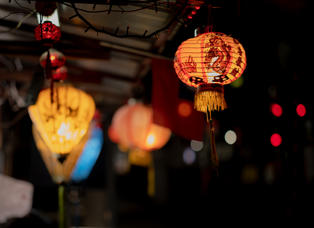 夜海月