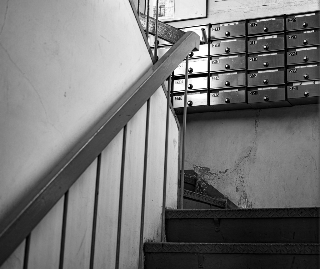 M11+APO（お化粧）