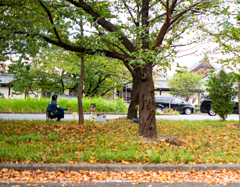 バードウオッチング