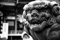 阿吽の阿（6623）