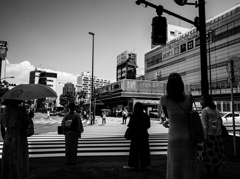 陰と陽