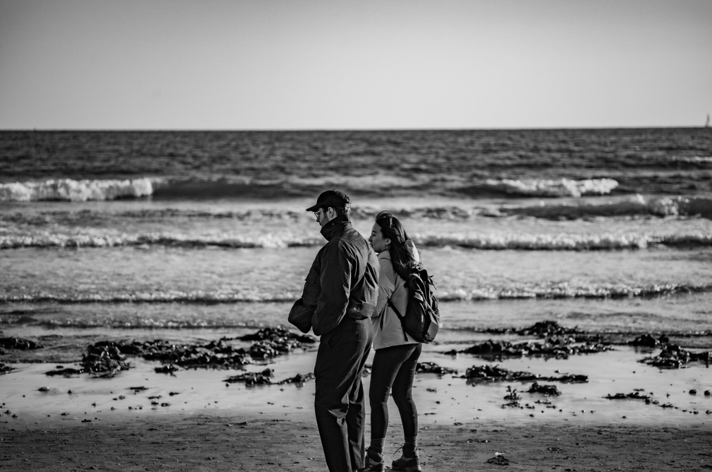海とワカメとカップルと