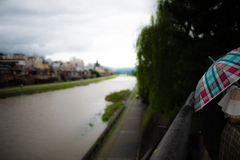 雨の鴨川