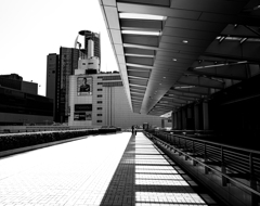 味噌煮込みうどんⅡ