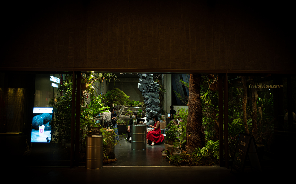 Beauty and the Jungle
