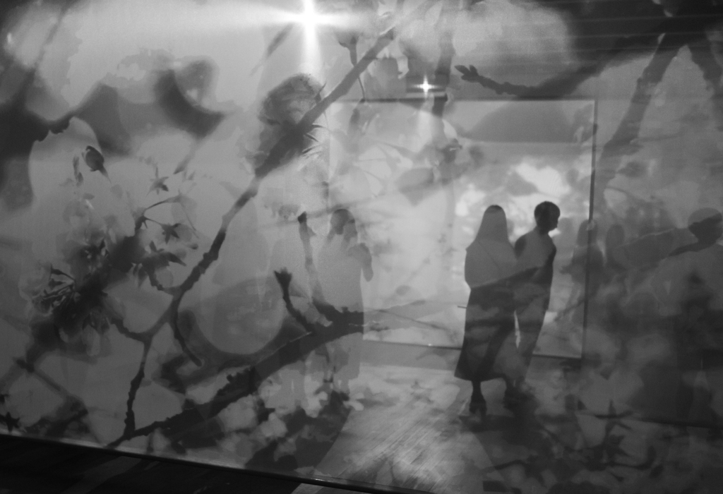 蜷川実花氏「瞬く光の庭」　東京都庭園美術館