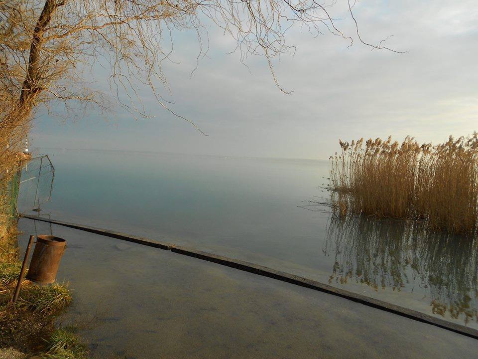 画像のタイトルを入力してください   :)