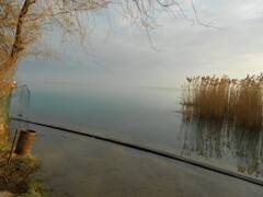 画像のタイトルを入力してください   :)