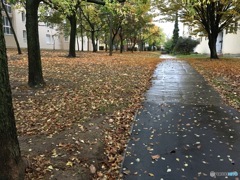 秋の雨