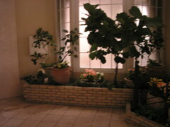 PICT0035