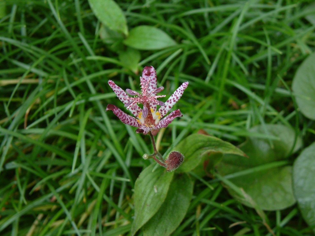 DSCF0021
