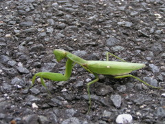 PICT0002