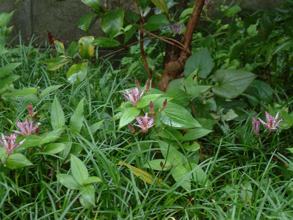 DSCF0023