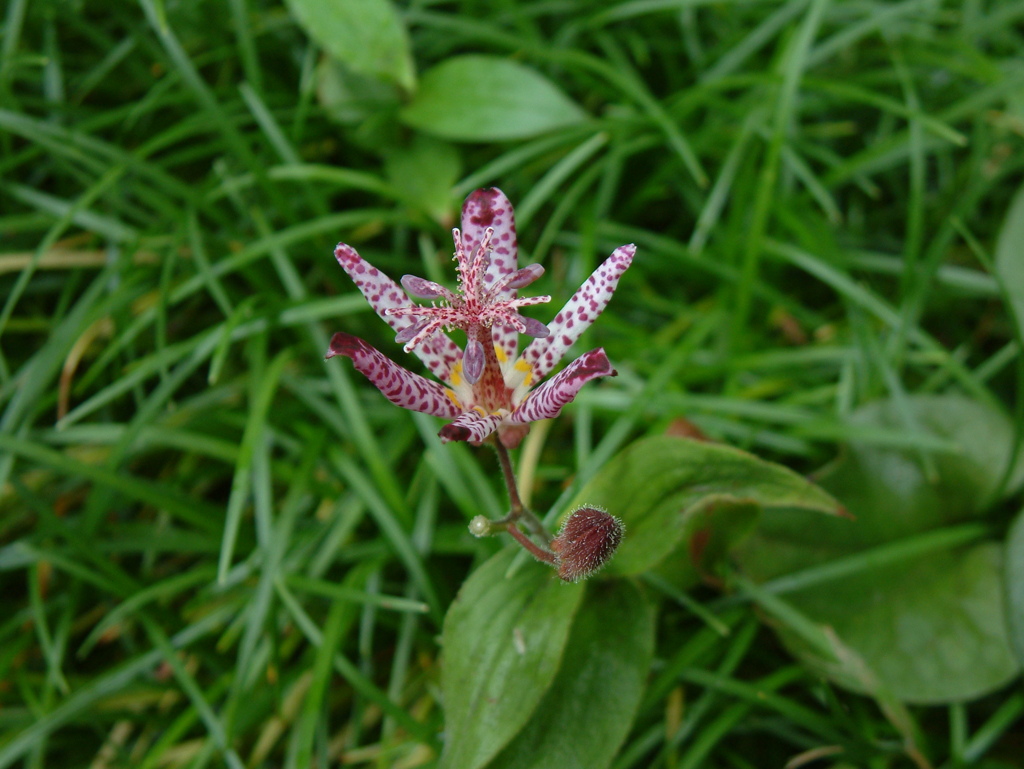 DSCF0022