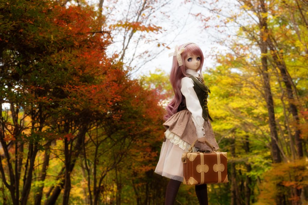 Autumn colours