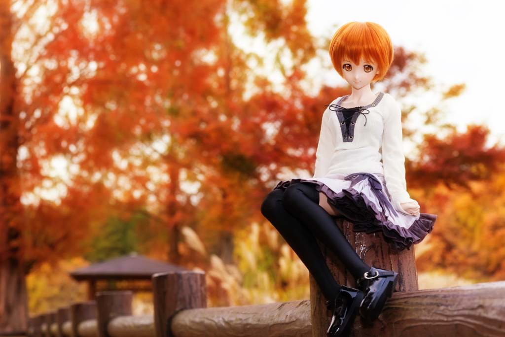 In the late autumn [2015]