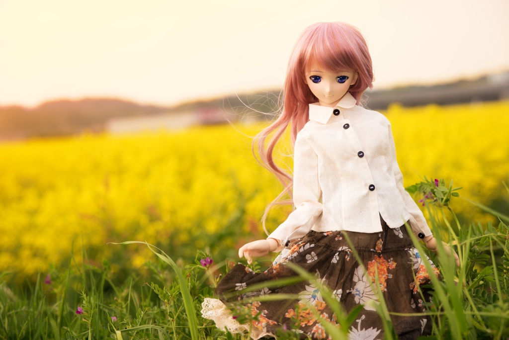 花畑プロジェクト in 南相馬