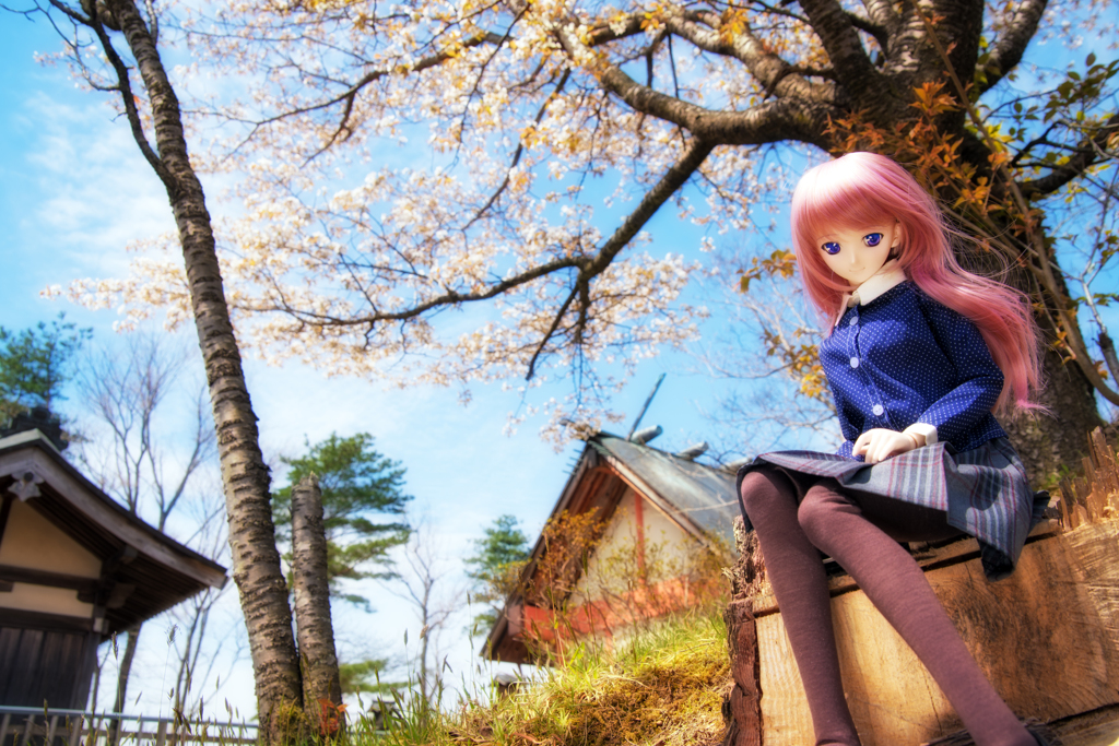 うねめの桜