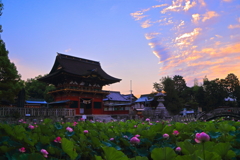 梅雨の晴れ間の朝