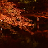 醍醐寺　紅葉ライトアップ②