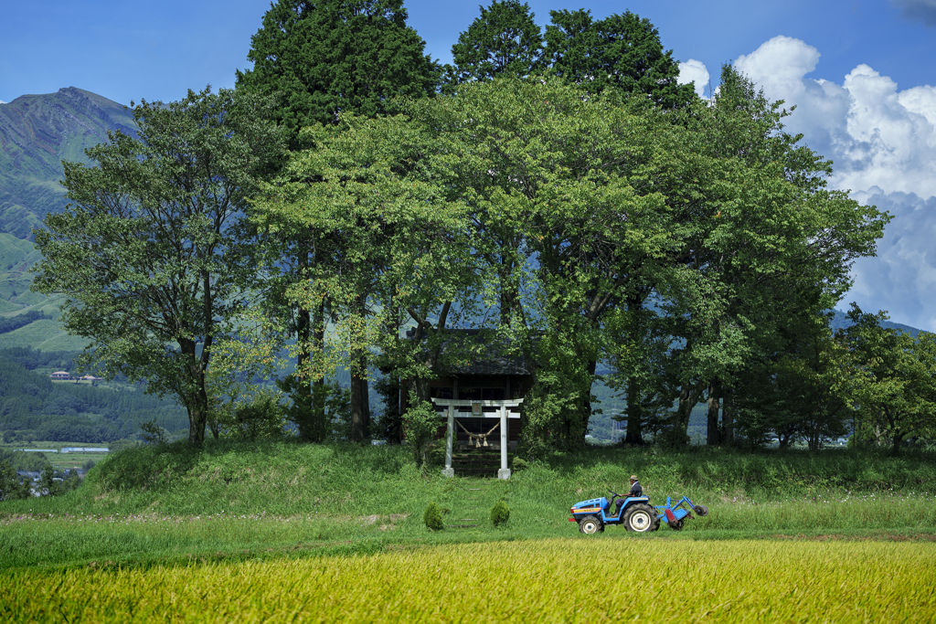 もうすぐ夏が終わる