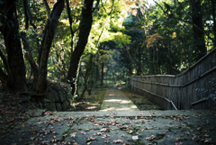 立田自然公園