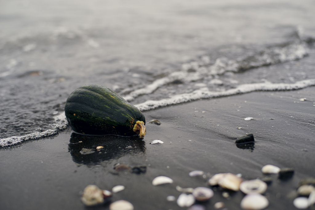 海と瓜