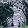 トンネル