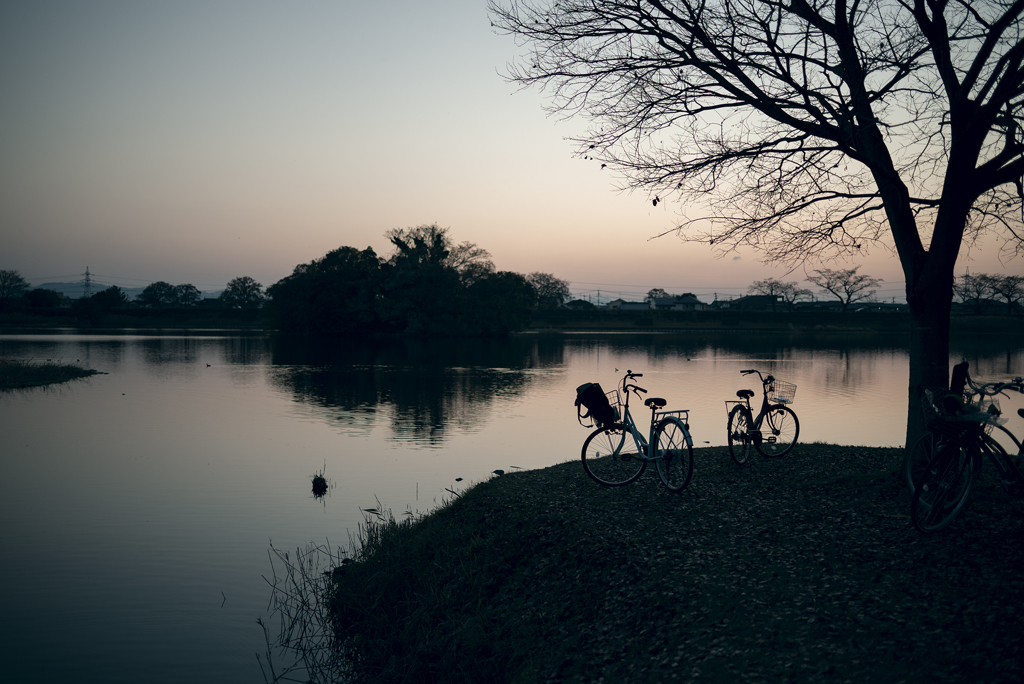 自転車