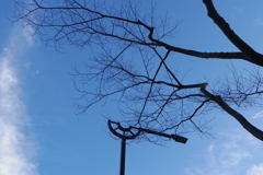 青空