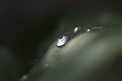 雨上がり