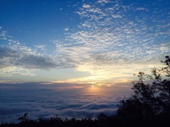 雲海