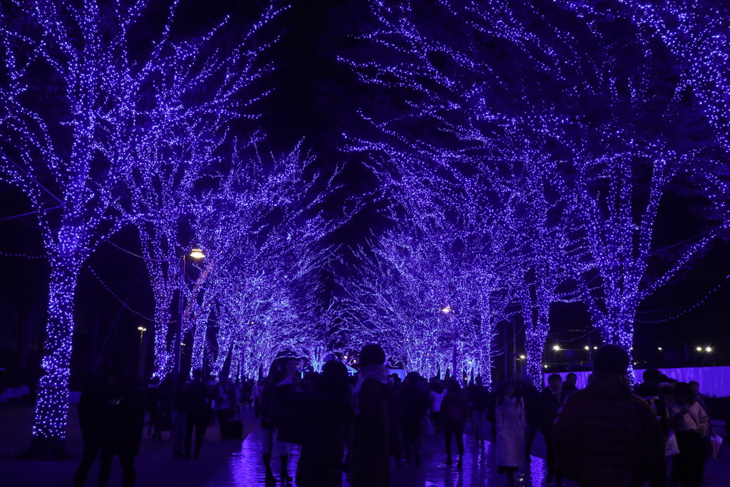 青の洞窟