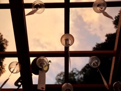氷川神社